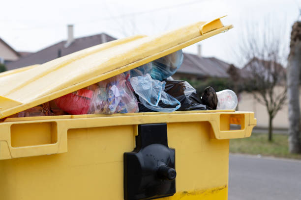 Best Same-Day Junk Removal Services  in Glenmont, MD
